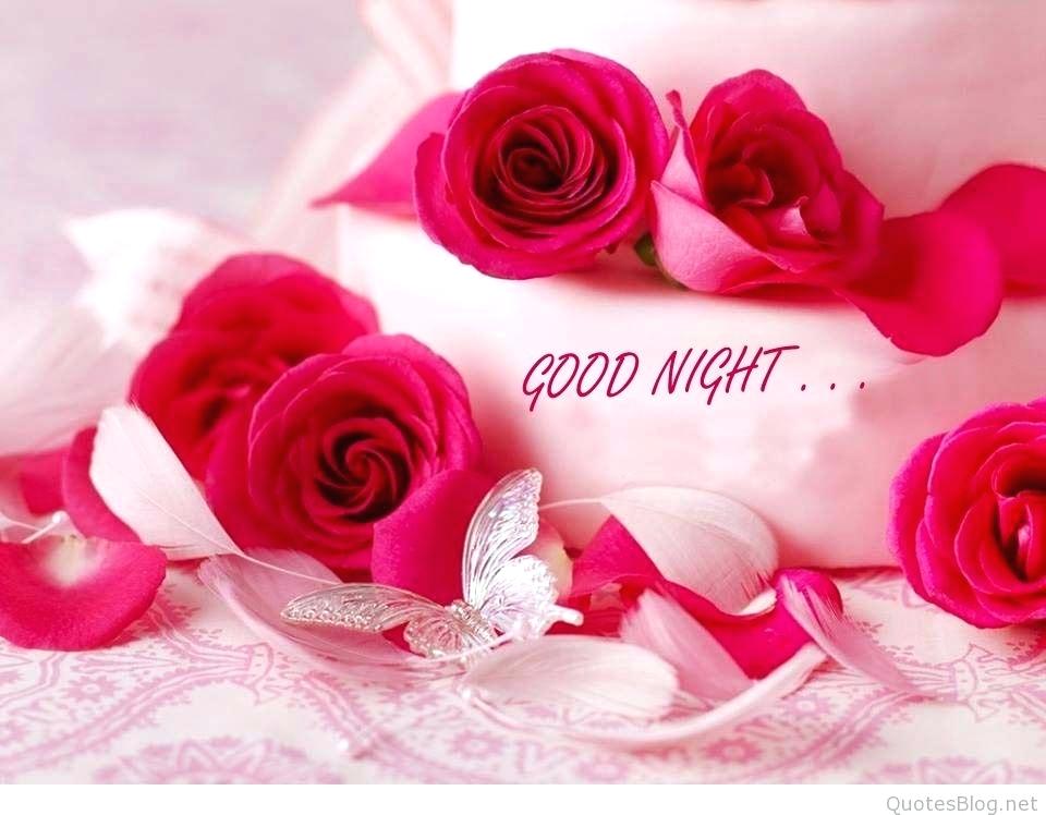 Rose Wallpapers A Flower With Good Night Image 3d Free Best