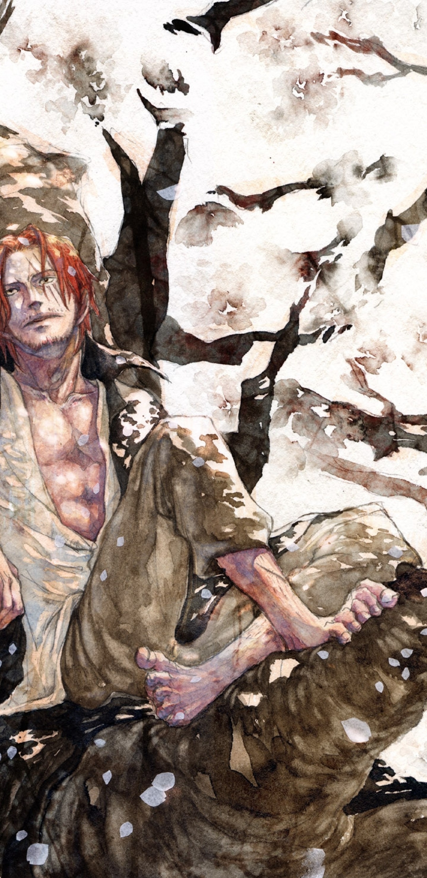 Shanks, Cherry Blossom, One Piece, Looking Away, Tree - One Piece Shanks Hd , HD Wallpaper & Backgrounds