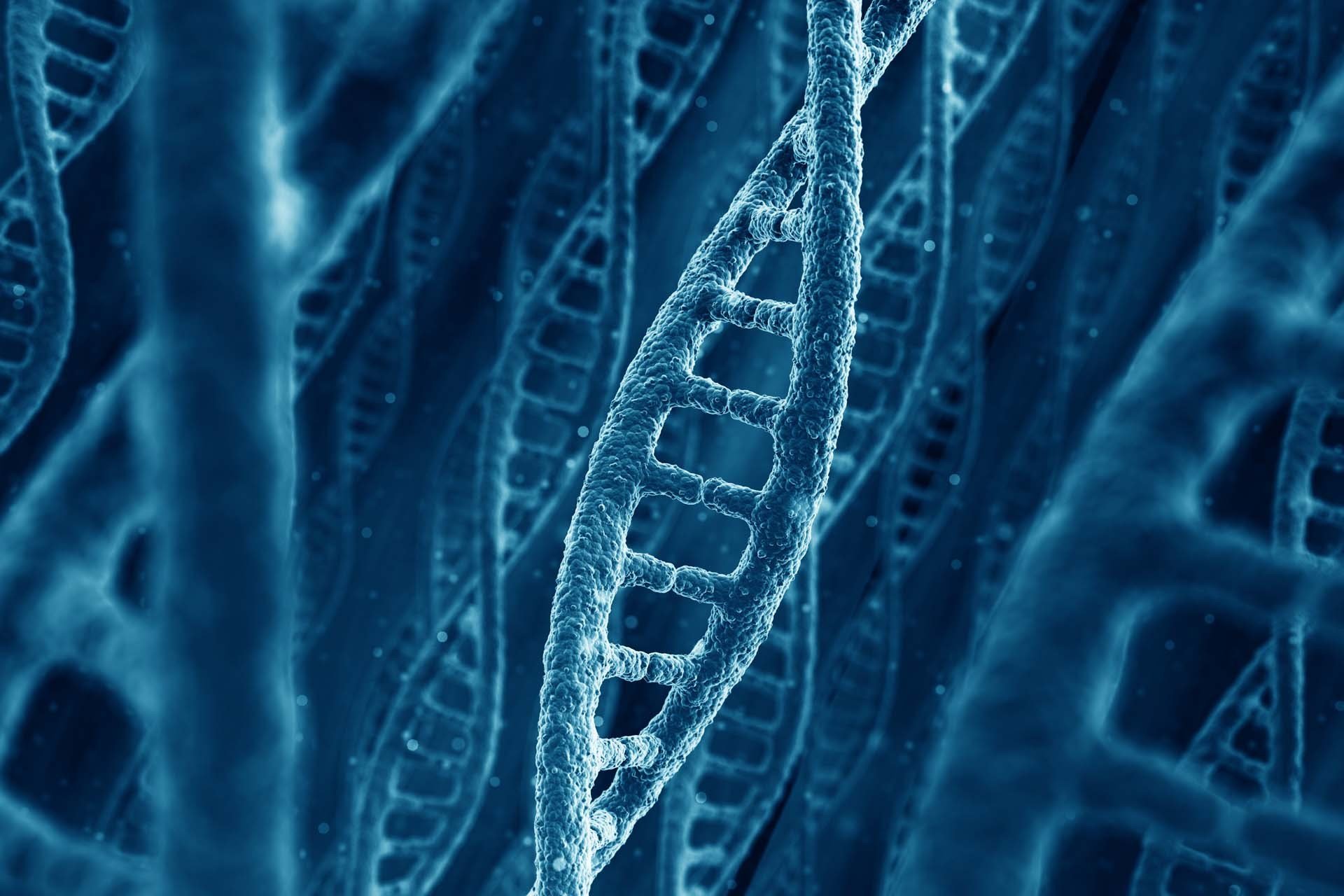 Dna, 3 D, Structure, Molecule, Pattern, Abstraction, - Real Dna Under Microscope , HD Wallpaper & Backgrounds