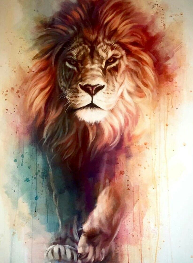 Lion Iphone Wallpaper Hd , HD Wallpaper & Backgrounds