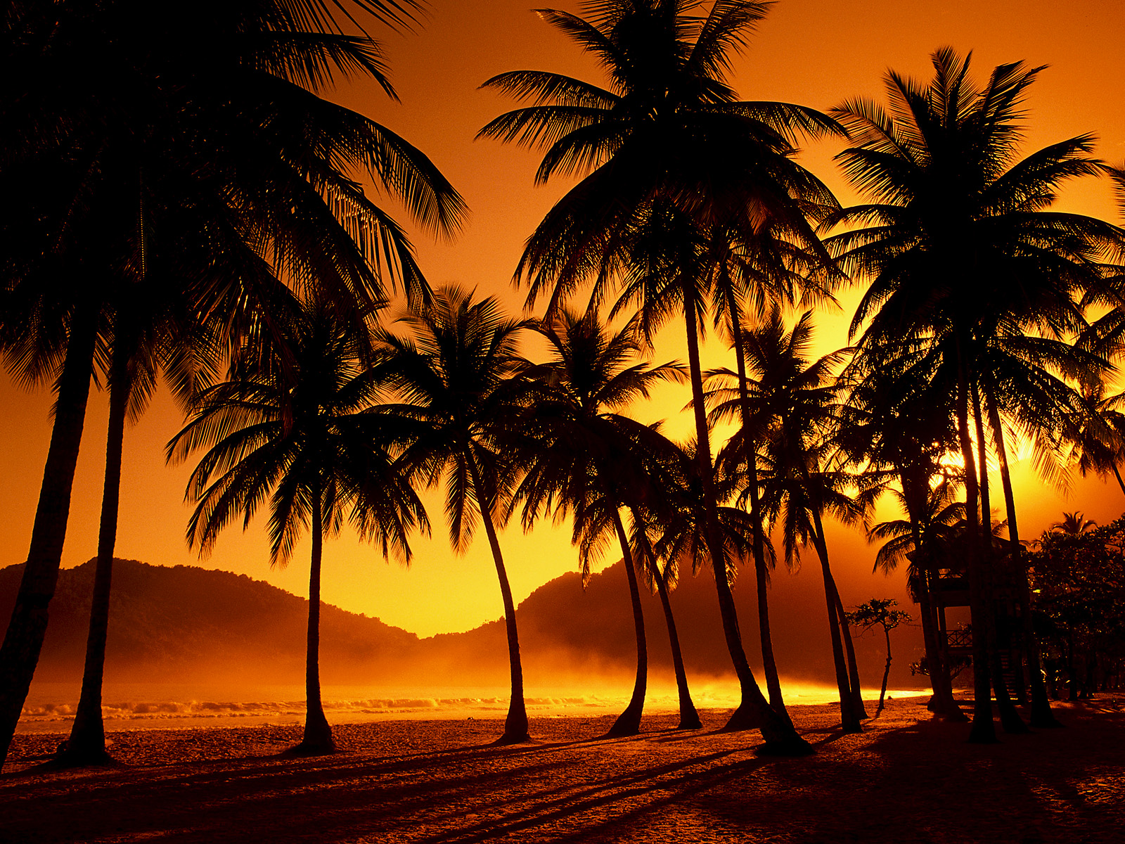 Palm Tree Pictures - Trinidad And Tobago Beaches Sunset , HD Wallpaper & Backgrounds