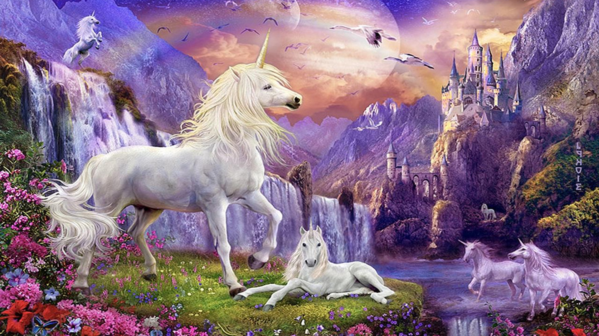- - Unicorns And Castles , HD Wallpaper & Backgrounds