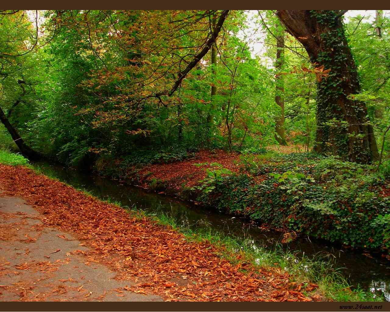 1024×768 1280×1024 - Autumn , HD Wallpaper & Backgrounds