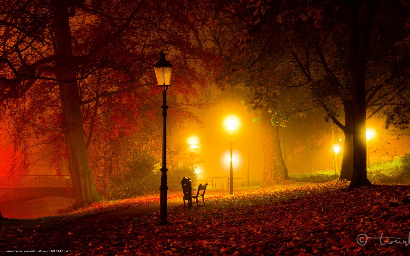 Download Wallpaper Night, Autumn, Park, Lights Free - Autumn At Night , HD Wallpaper & Backgrounds