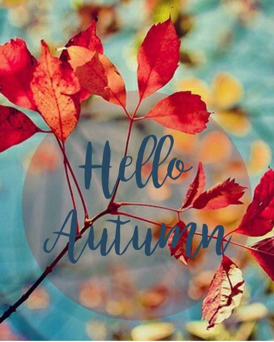 Hello Autumn Wallpaper For Mobile - Ultra Hd Mobile Wallpapers Hd For Samsung , HD Wallpaper & Backgrounds
