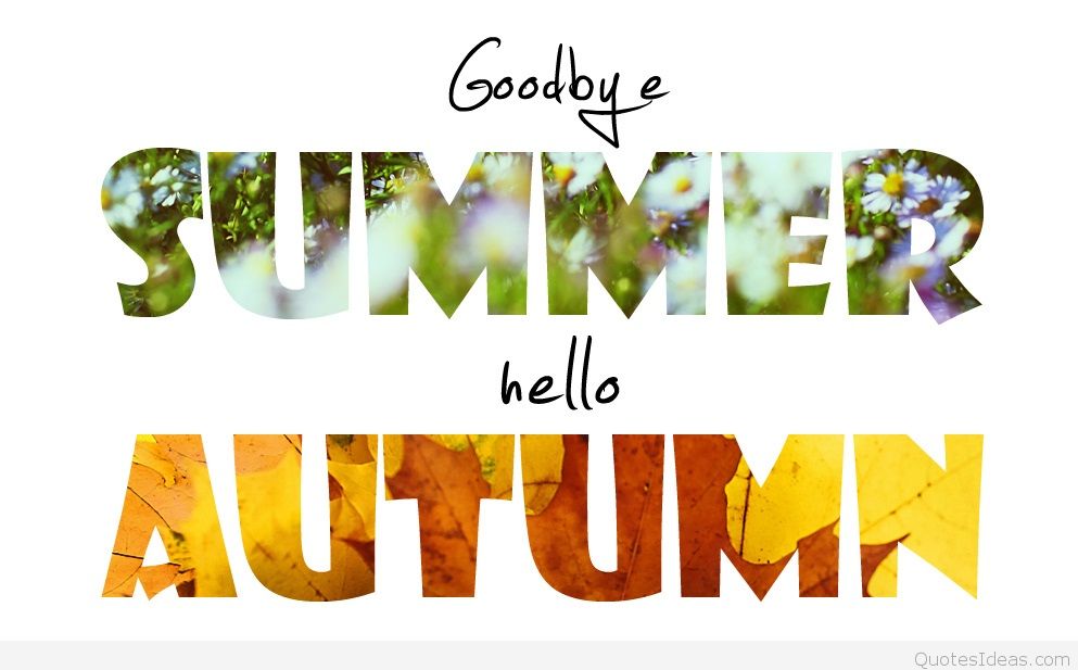 Goodbye Summer Hello Autumn , HD Wallpaper & Backgrounds