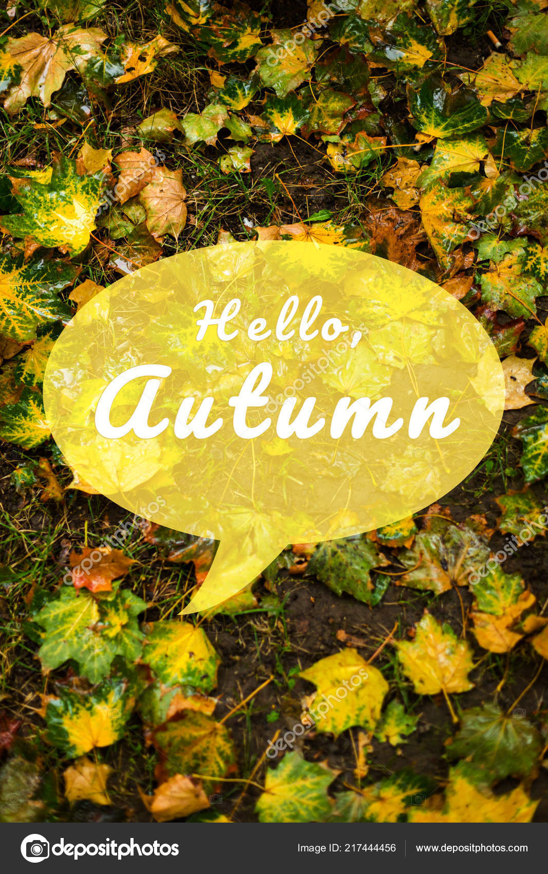 Autumn Wallpaper With Text - Autumn , HD Wallpaper & Backgrounds