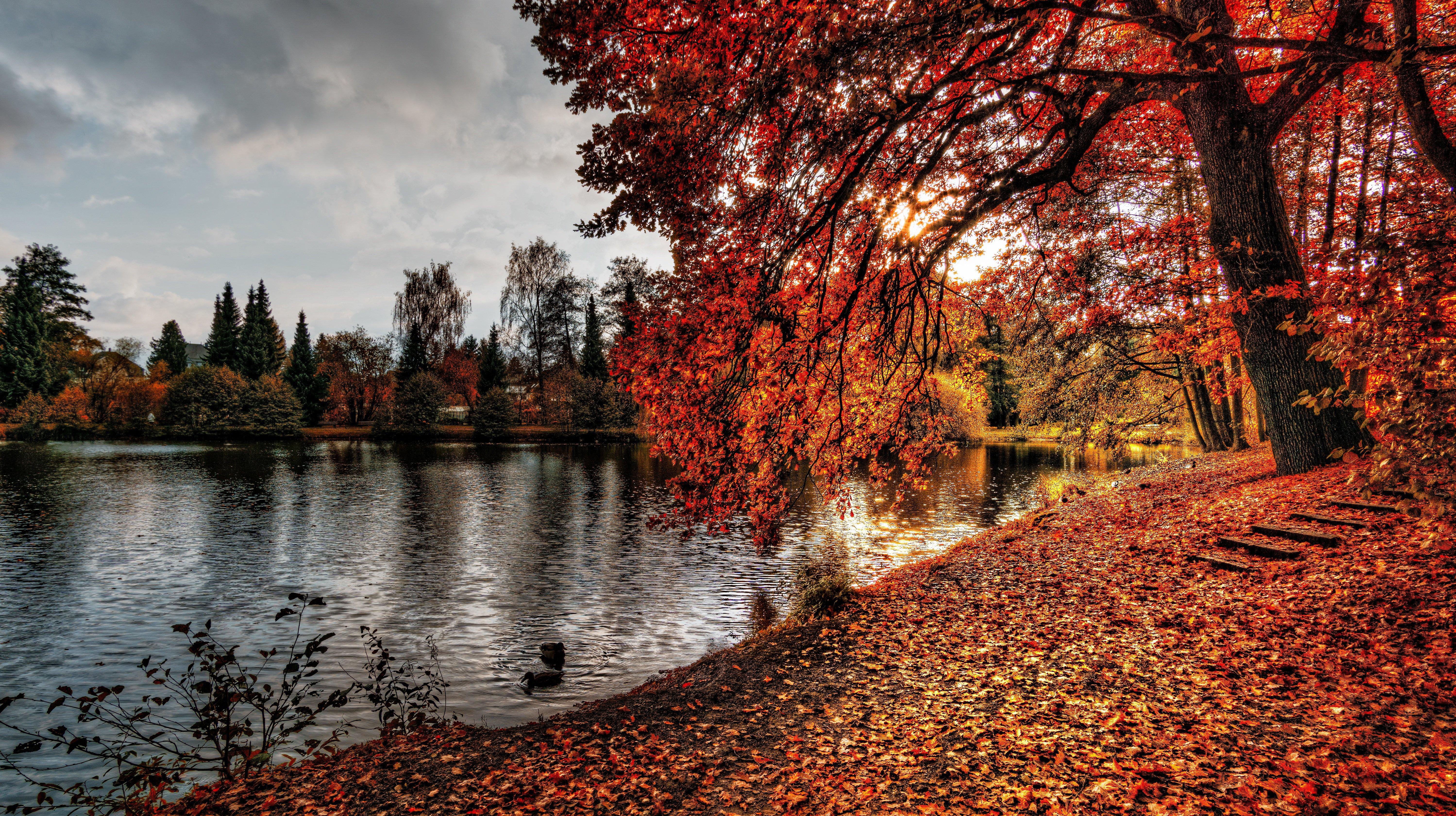 Hello Autumn Leaves Fall Seasons Wallpaper For Phone - Nature Hd , HD Wallpaper & Backgrounds