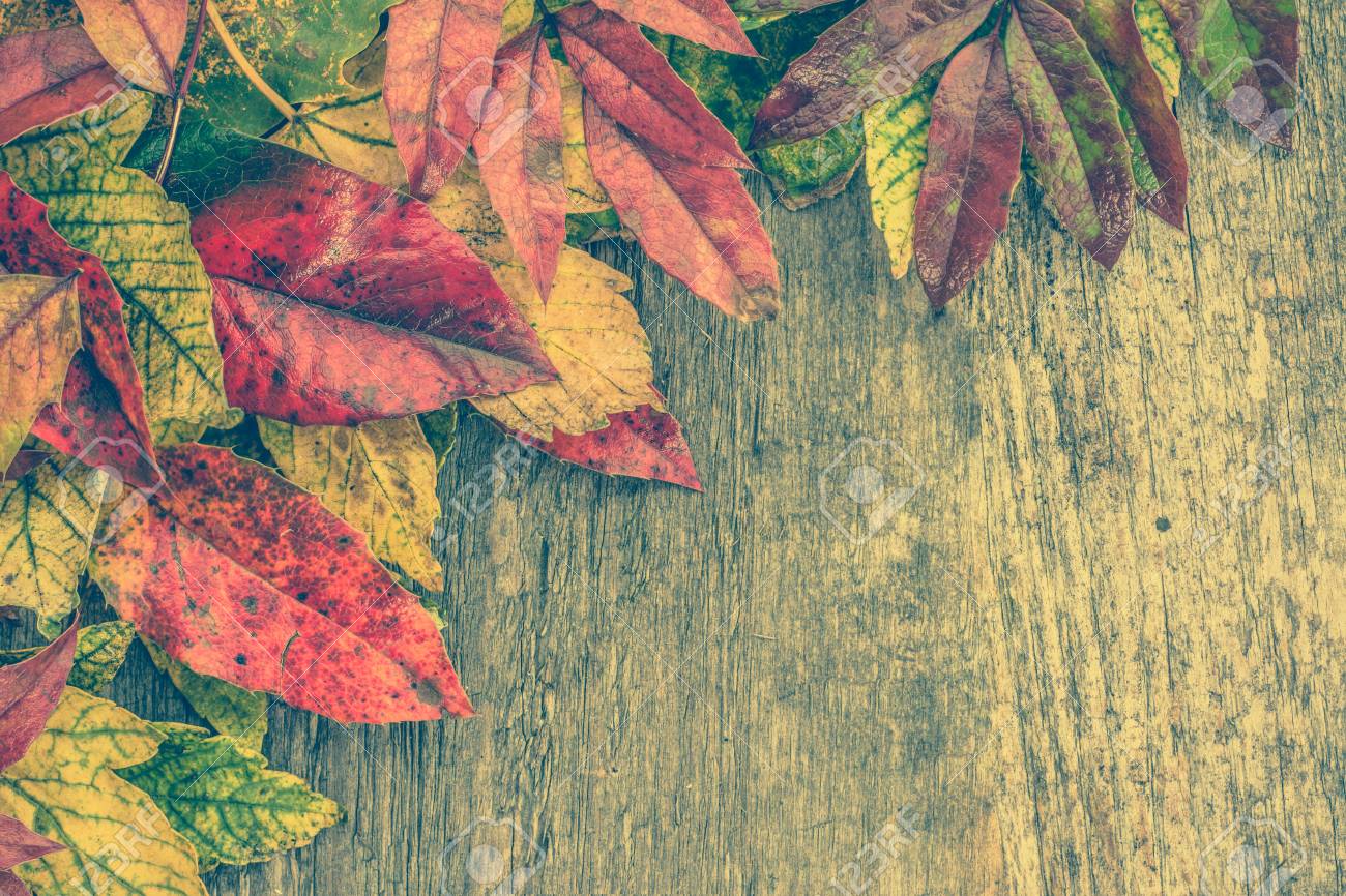 Autumn Leaves Background, Fall Wallpaper With Colorful - Fondos De Pantalla De Maderas De Colores , HD Wallpaper & Backgrounds