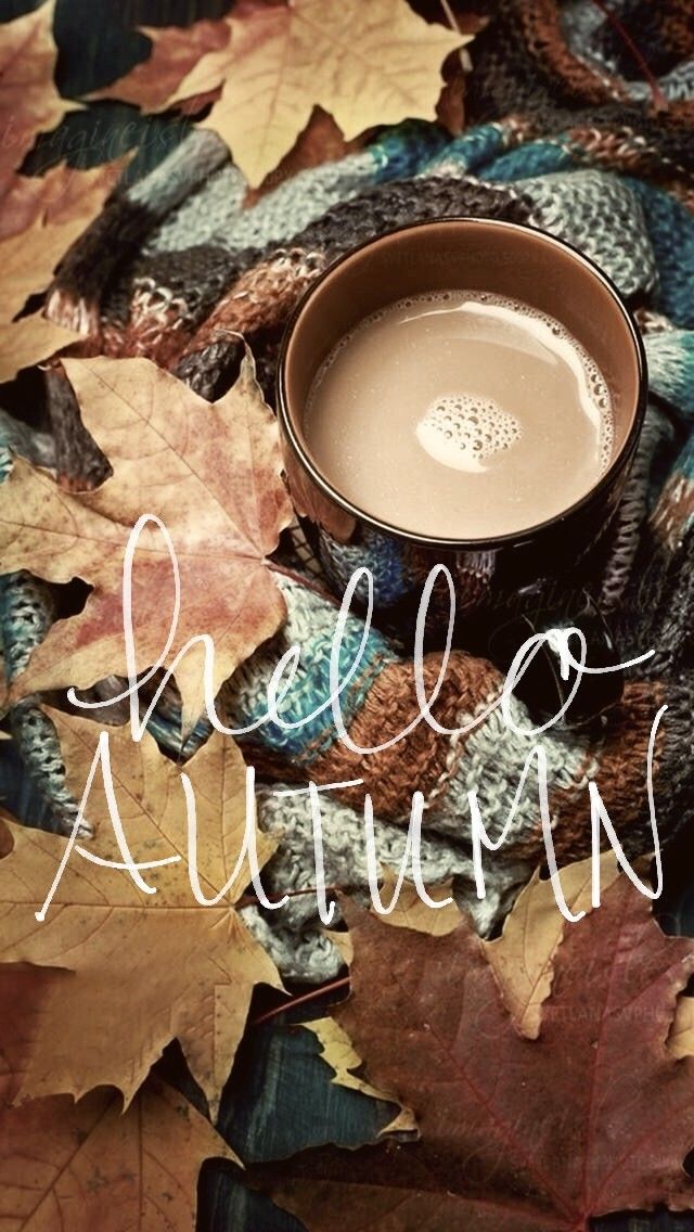 Autumn Background Wallpaper Autumn Cozy, Autumn Coffee, - Autumn Feeling , HD Wallpaper & Backgrounds