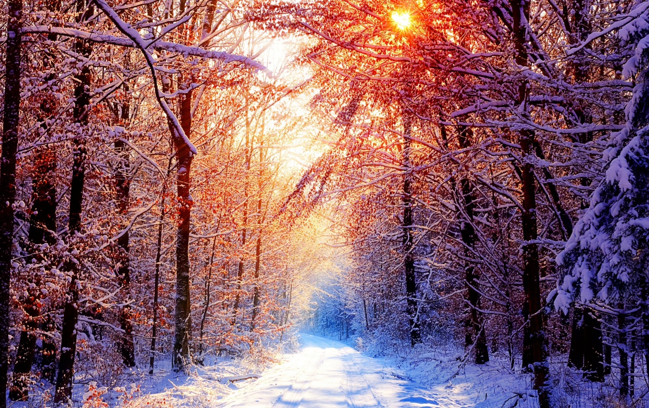 Hd Winter Sun Wallpapers - Hd Winter , HD Wallpaper & Backgrounds