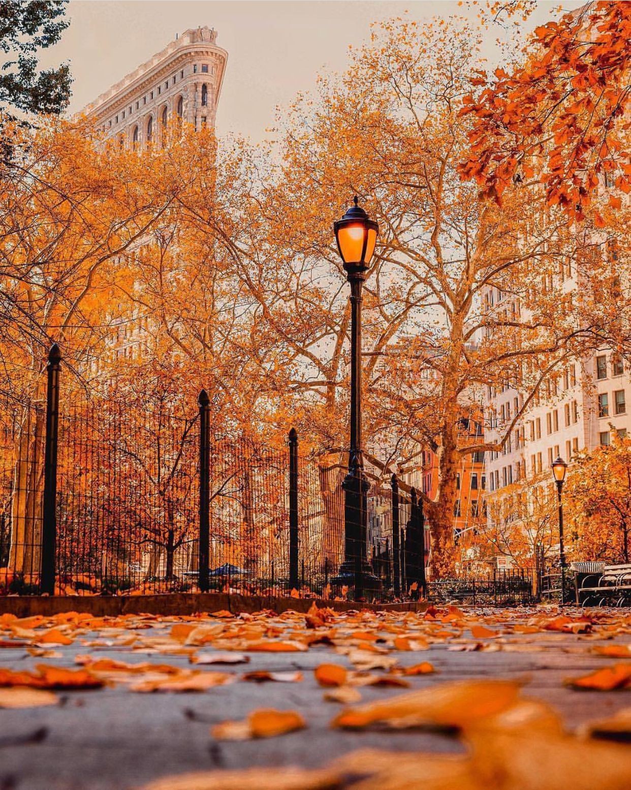 Hello Autumn City Image Elegant New York City S Flat - New York In Fall Background , HD Wallpaper & Backgrounds