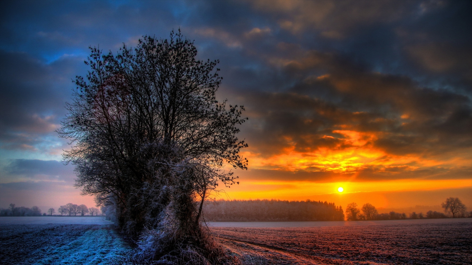 Winter Sun Hd Wallpaper - Sunset In Snow Desktop , HD Wallpaper & Backgrounds