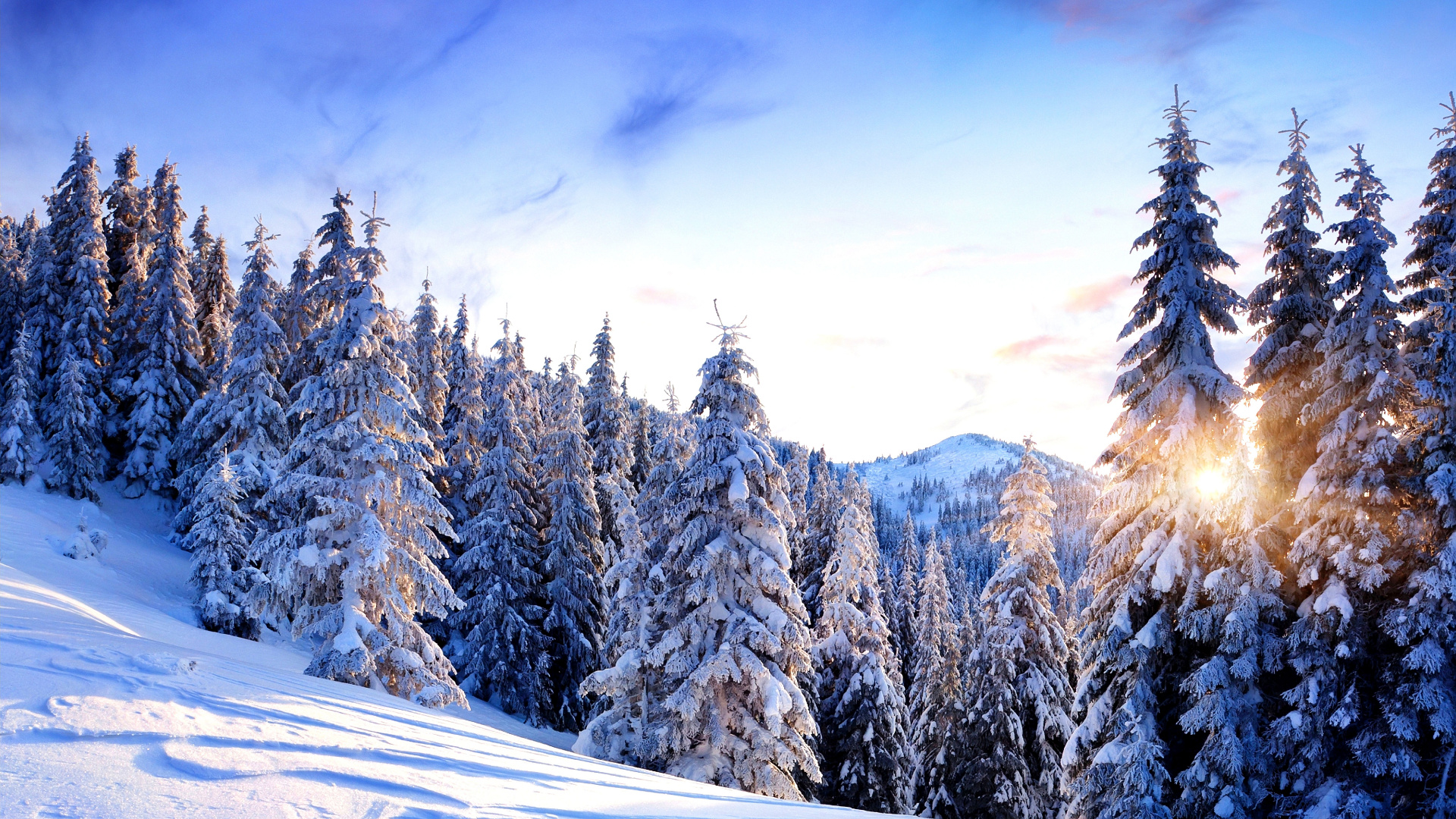 Spruce, Mountain, Snow, Sky, Winter Wallpaper In Resolution , HD Wallpaper & Backgrounds