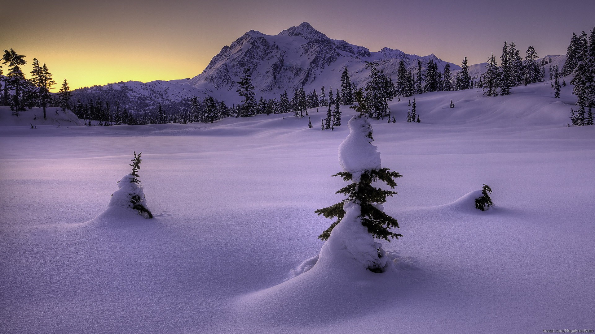 Snow Winter Landscape Mountain Hd Wallpaper - North Cascades National Park Winter , HD Wallpaper & Backgrounds