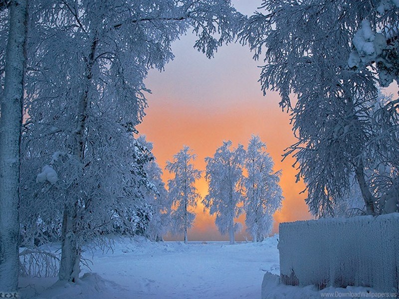 Winter Skies , HD Wallpaper & Backgrounds