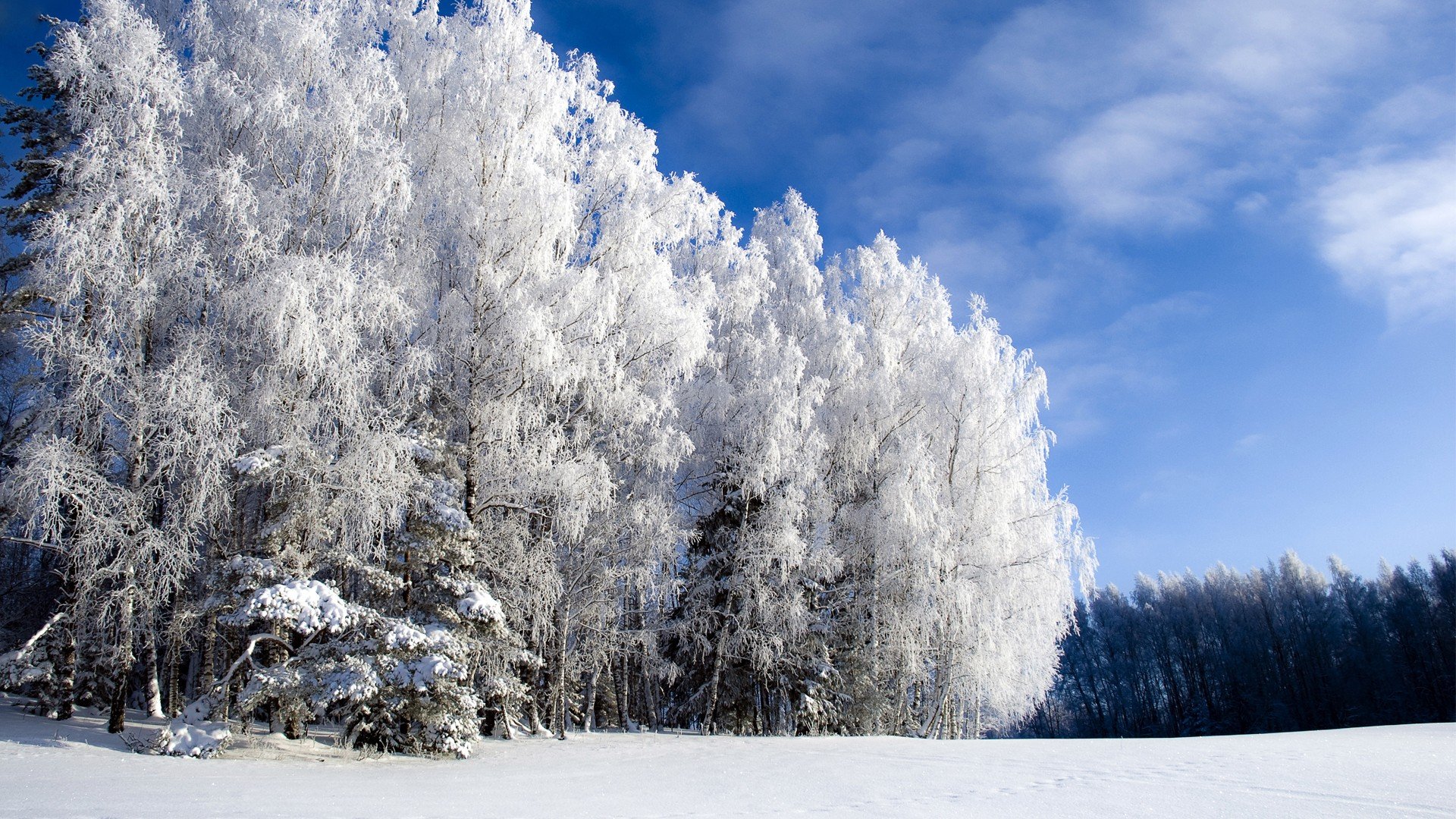 Snow Landscape , HD Wallpaper & Backgrounds