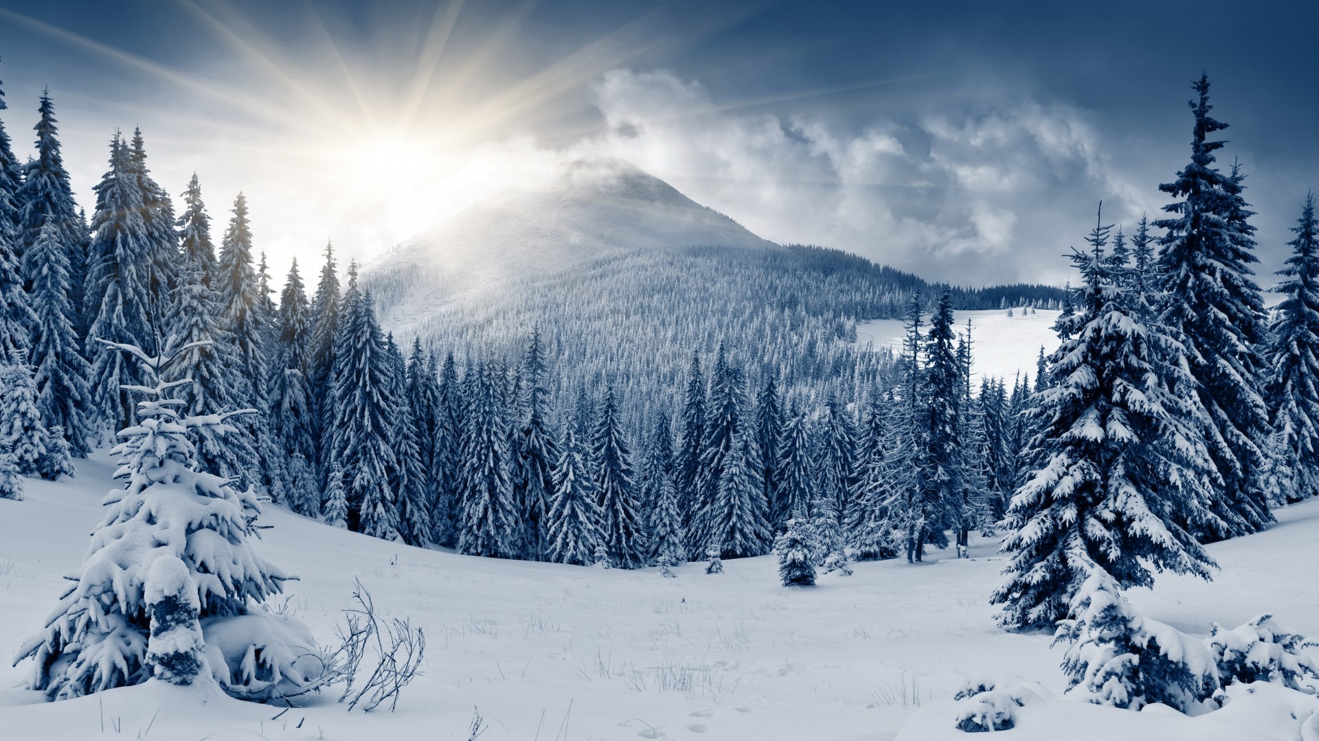 Winter Forest Nature Hd Wallpaper - Snowy Mountain Forest Background , HD Wallpaper & Backgrounds