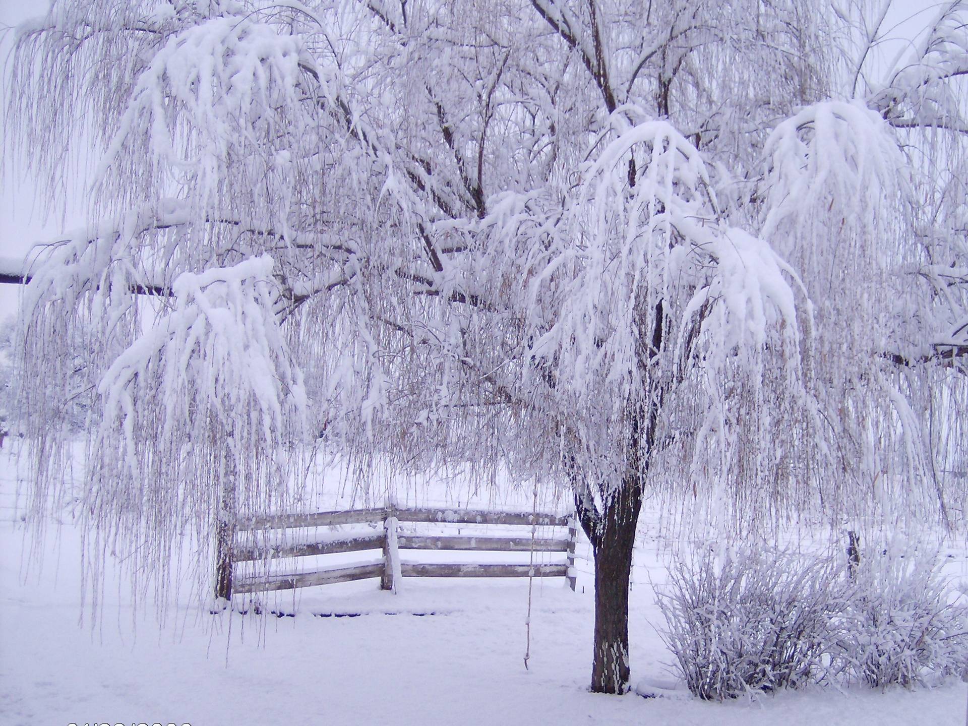 Winter Wallpapers Free > - Winter Wallpapers Free Download , HD Wallpaper & Backgrounds