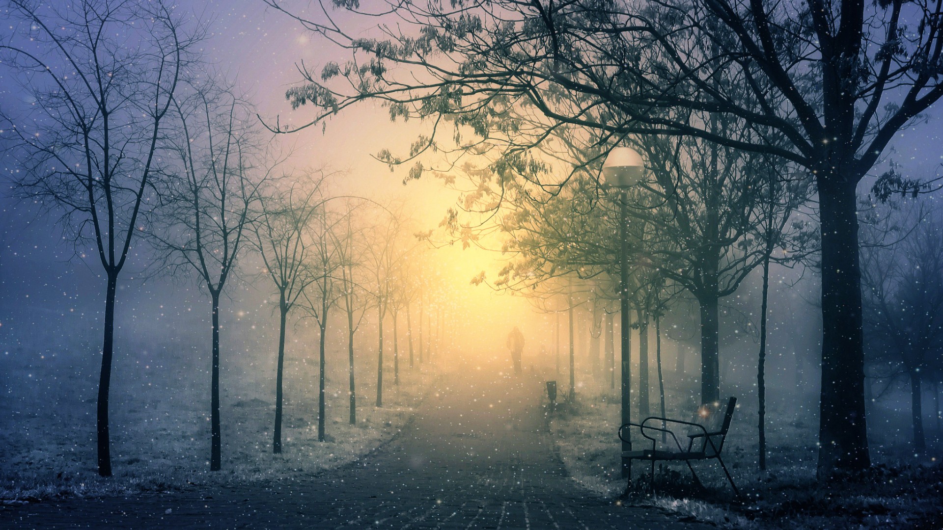 Winter Road Romantic Walking Alone - Walking Alone In The Mist , HD Wallpaper & Backgrounds