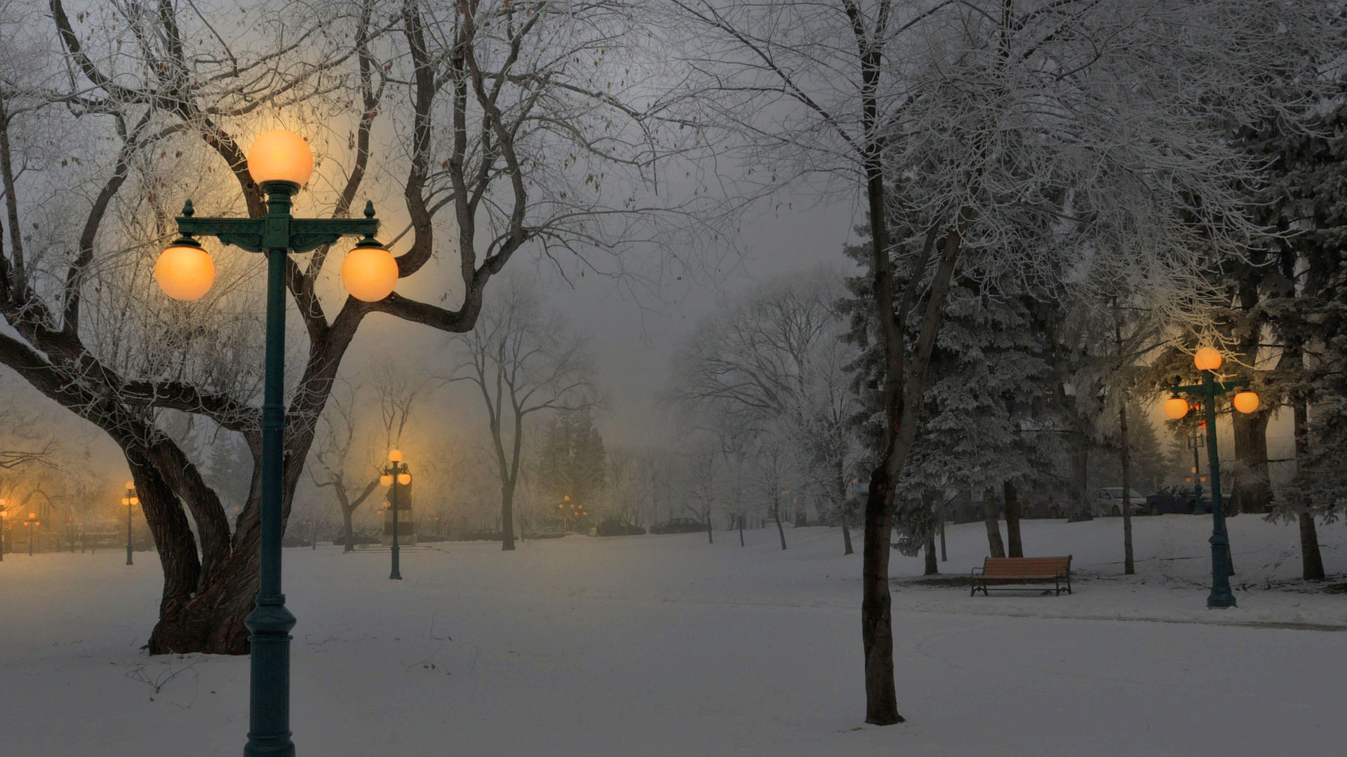 Download Here - - Foggy Winter , HD Wallpaper & Backgrounds