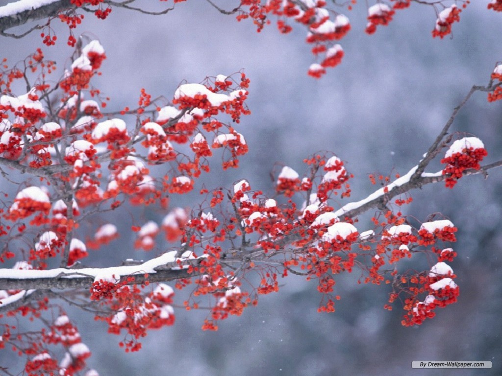 Free Winter Wallpaper - Simple Winter Wallpaper Desktop , HD Wallpaper & Backgrounds