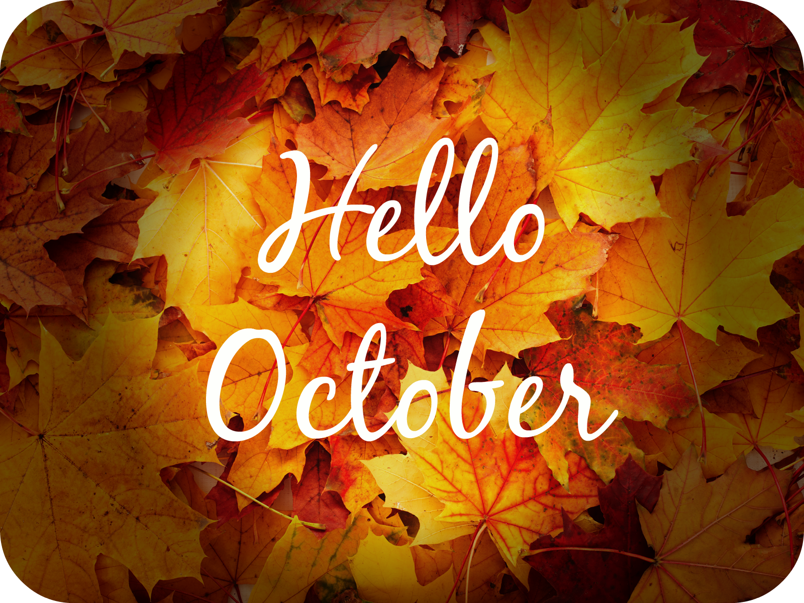 Hello October Hd , HD Wallpaper & Backgrounds