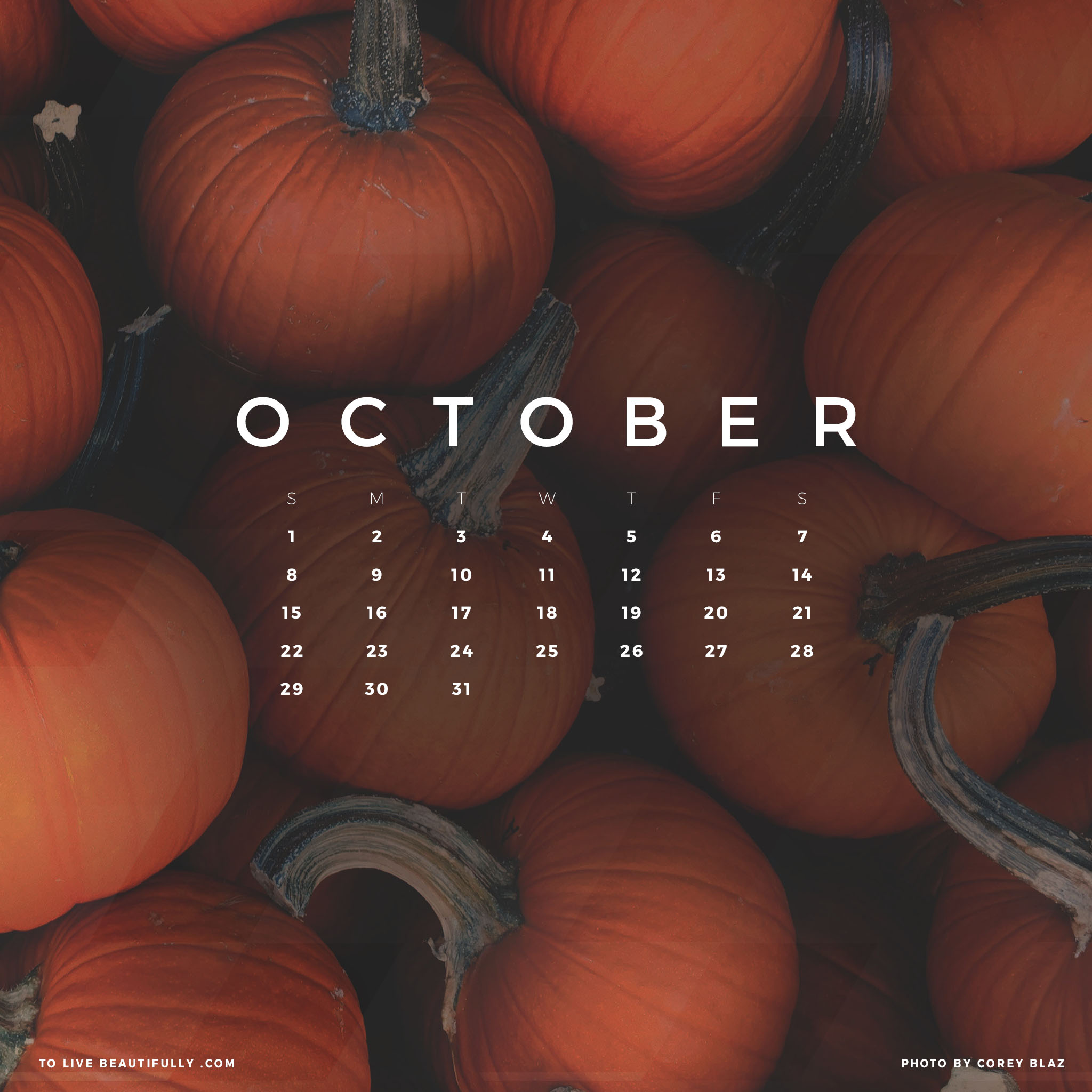 Free October 2017 Calendar Wallpaper - Pumpkin , HD Wallpaper & Backgrounds