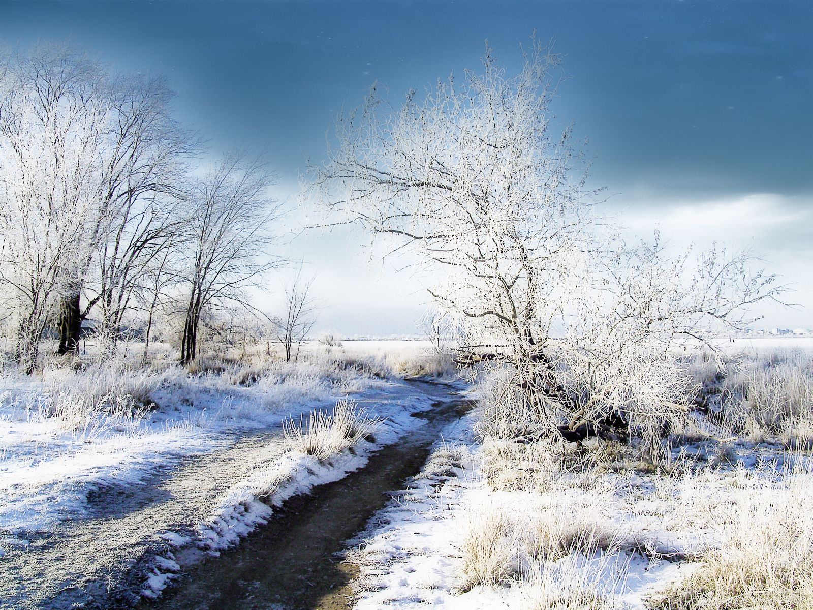 Free Wallpapers - Winter Pictures For Desktop , HD Wallpaper & Backgrounds
