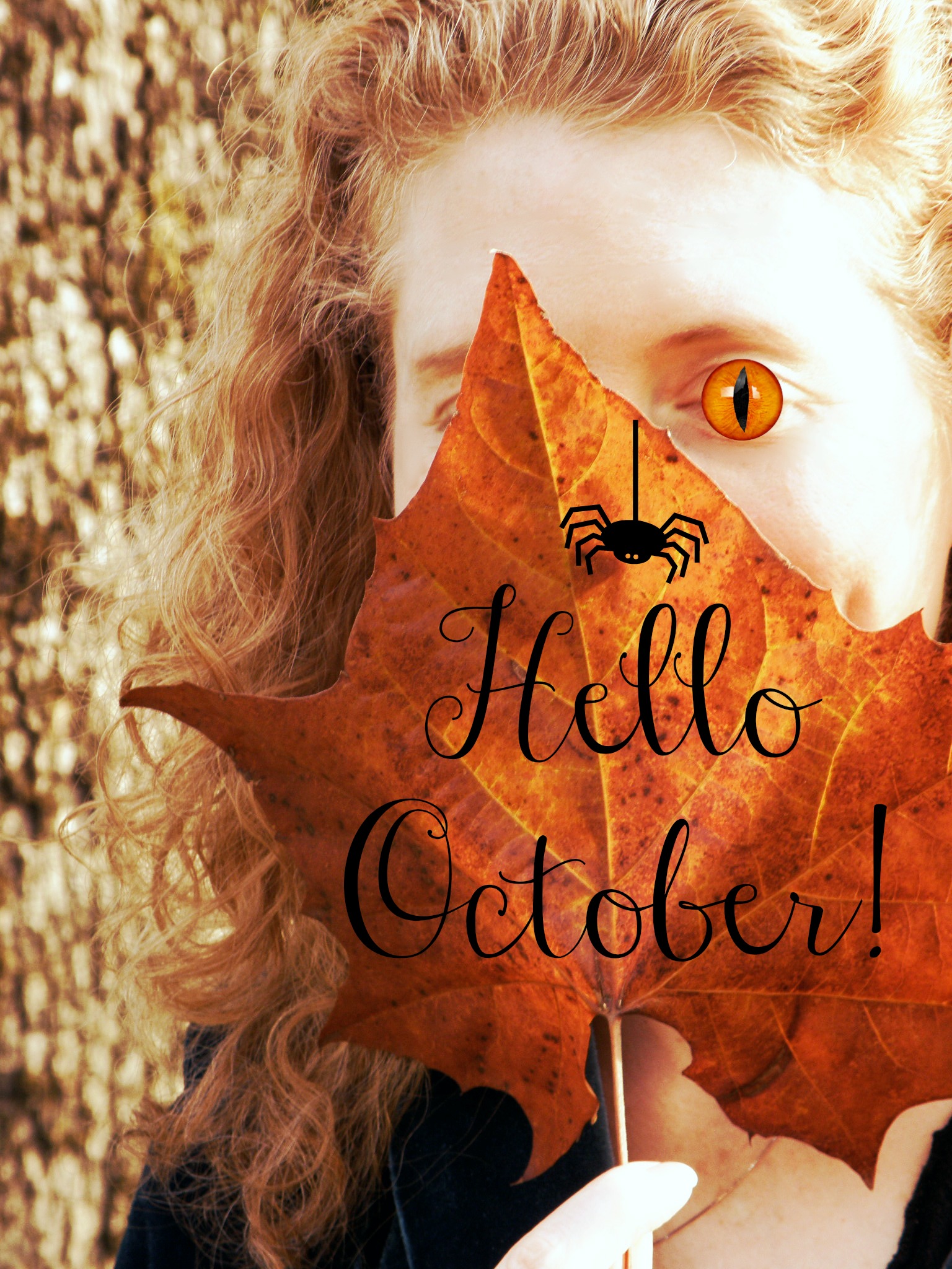 Hello October - October Hello , HD Wallpaper & Backgrounds