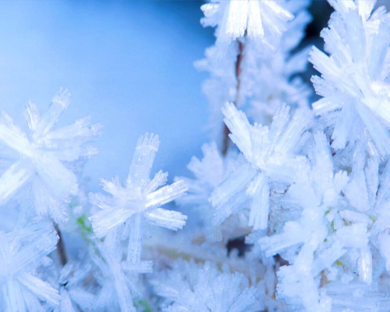 Free Winter Wallpapers And Screensavers , HD Wallpaper & Backgrounds