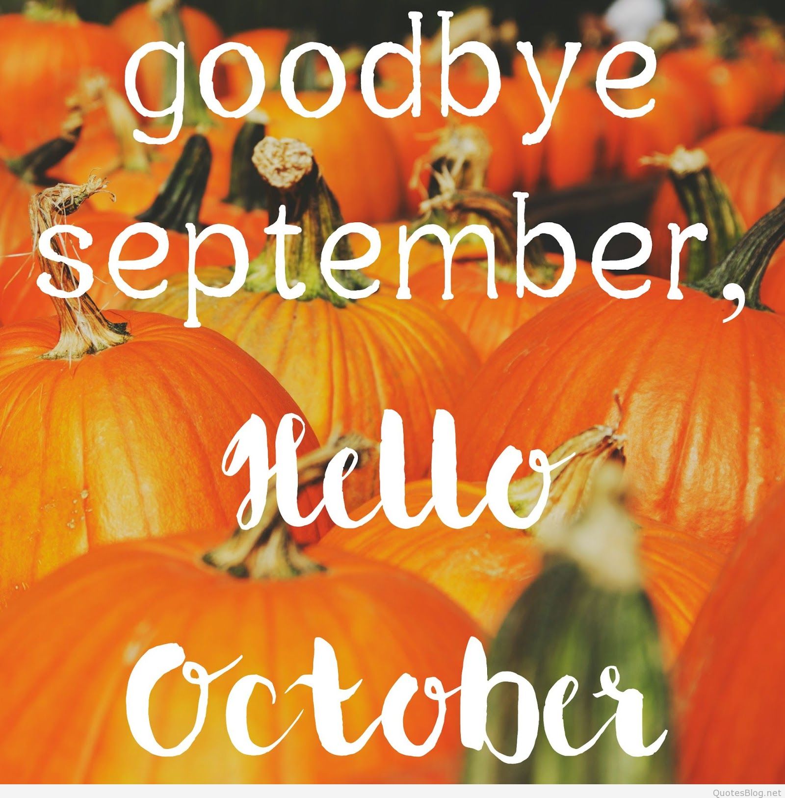 Images Hd Goodbye September, Hello October - October Wishes , HD Wallpaper & Backgrounds