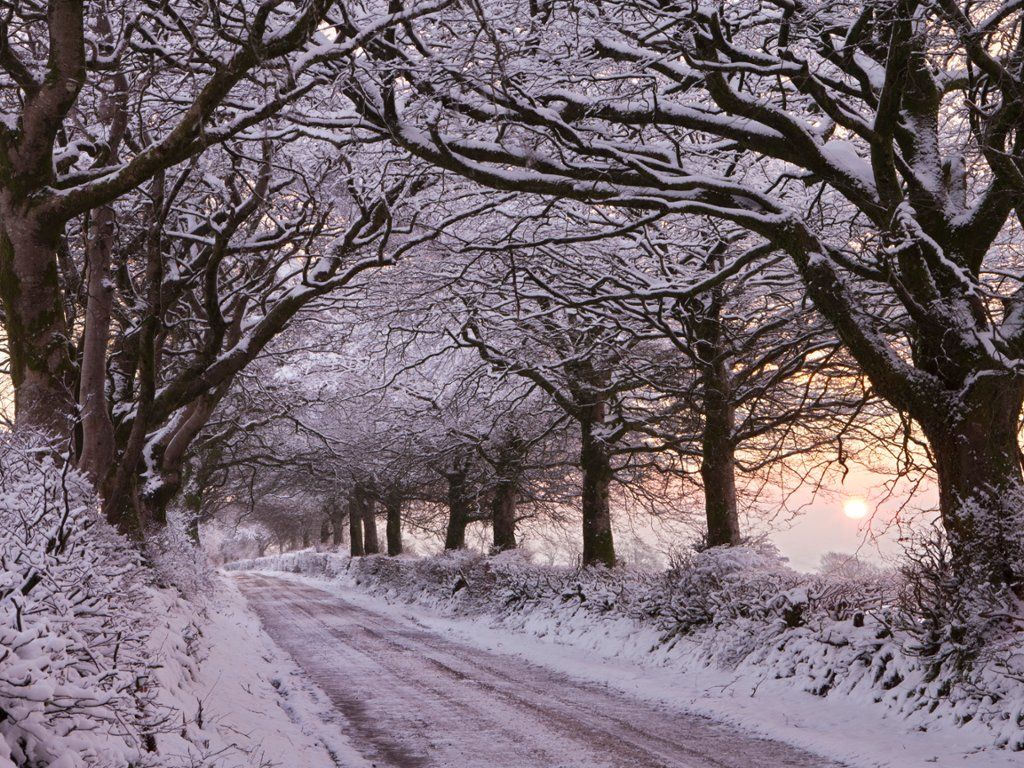 Exmoor In Winter, Somerset, England - Exmoor , HD Wallpaper & Backgrounds