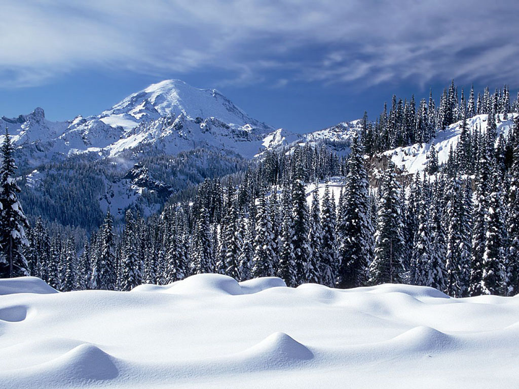Snow Valey - Winter Wallpaper - Snowy Mountains With Trees , HD Wallpaper & Backgrounds