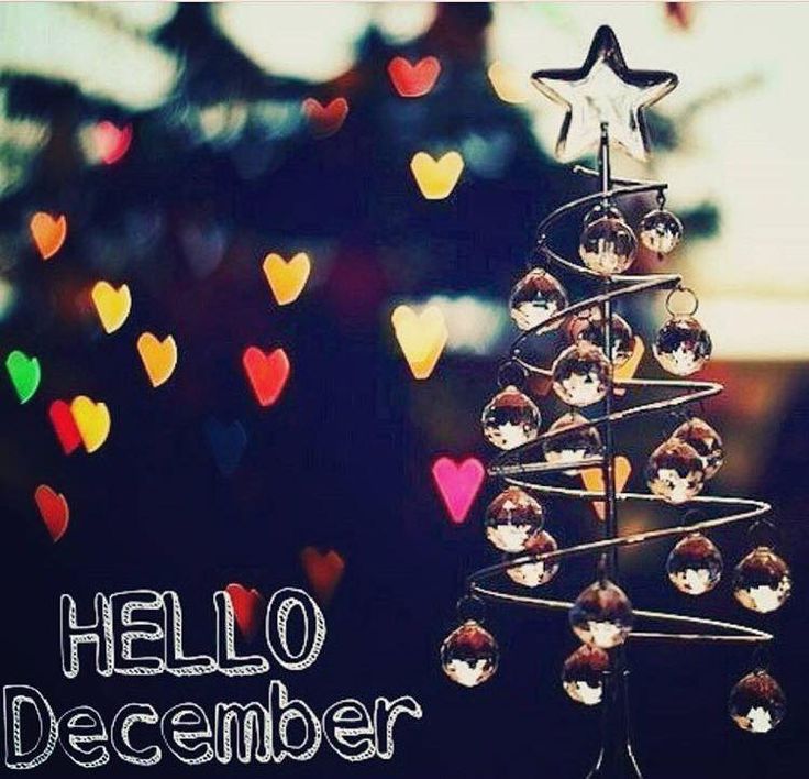 December, Hello December, Welcome December, Aralik, - Привет Декабрь , HD Wallpaper & Backgrounds