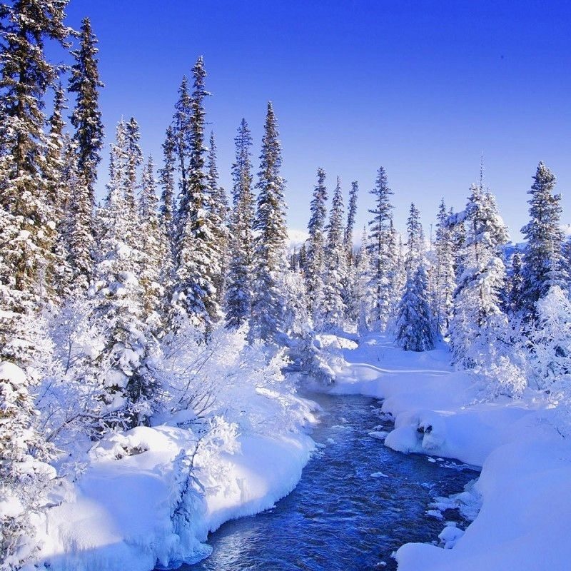 10 New Winter Wonderland Screensavers Free Full Hd - Real Winter Landscape , HD Wallpaper & Backgrounds