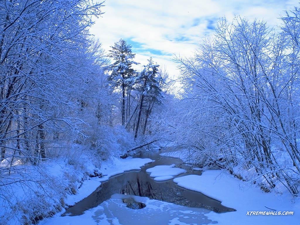 Free Screensaver Winter Snow Scenes - Nature Ice , HD Wallpaper & Backgrounds