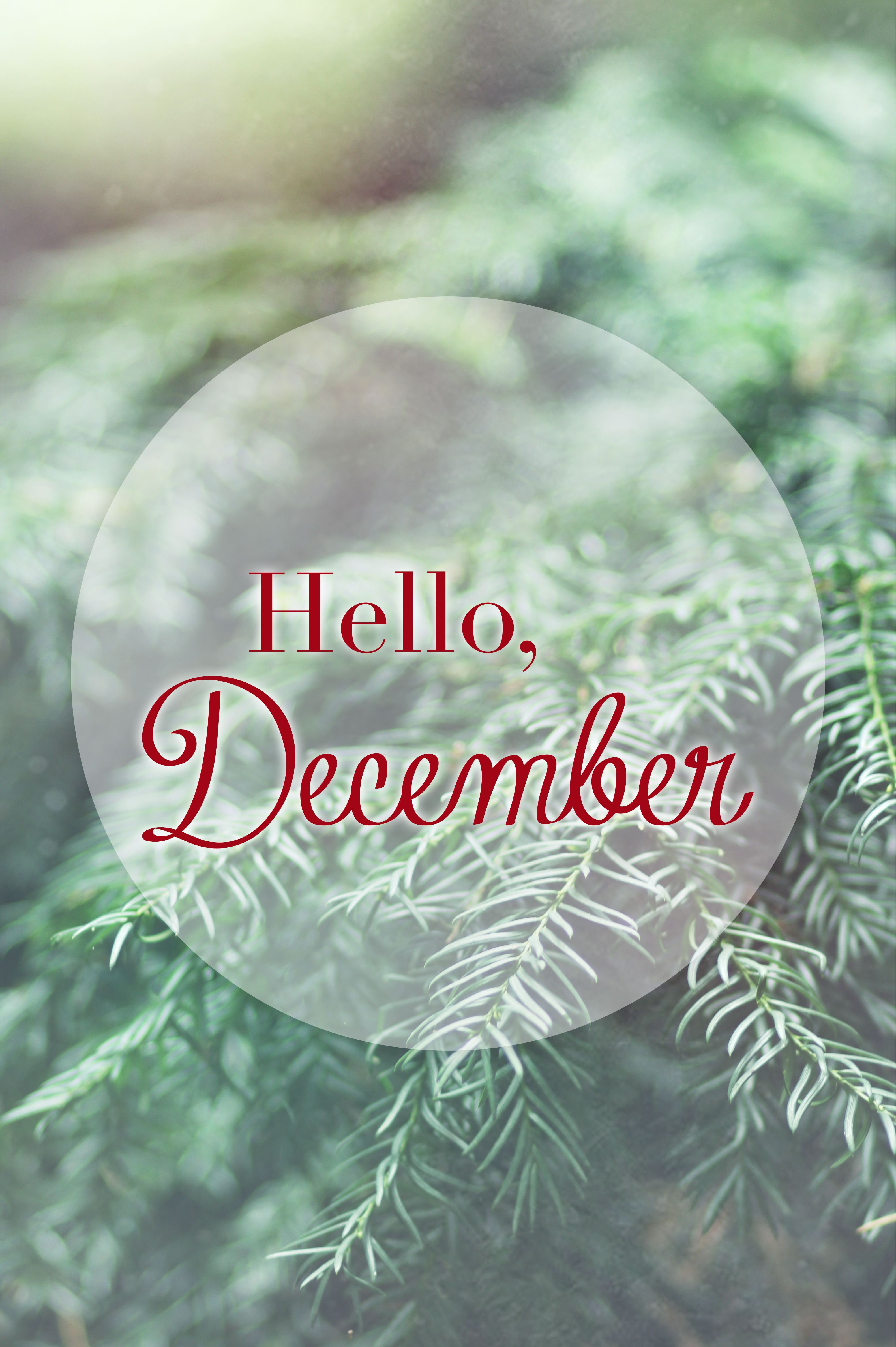 Hello December December Wallpaper, Winter Wallpaper, - Hello December Phone , HD Wallpaper & Backgrounds