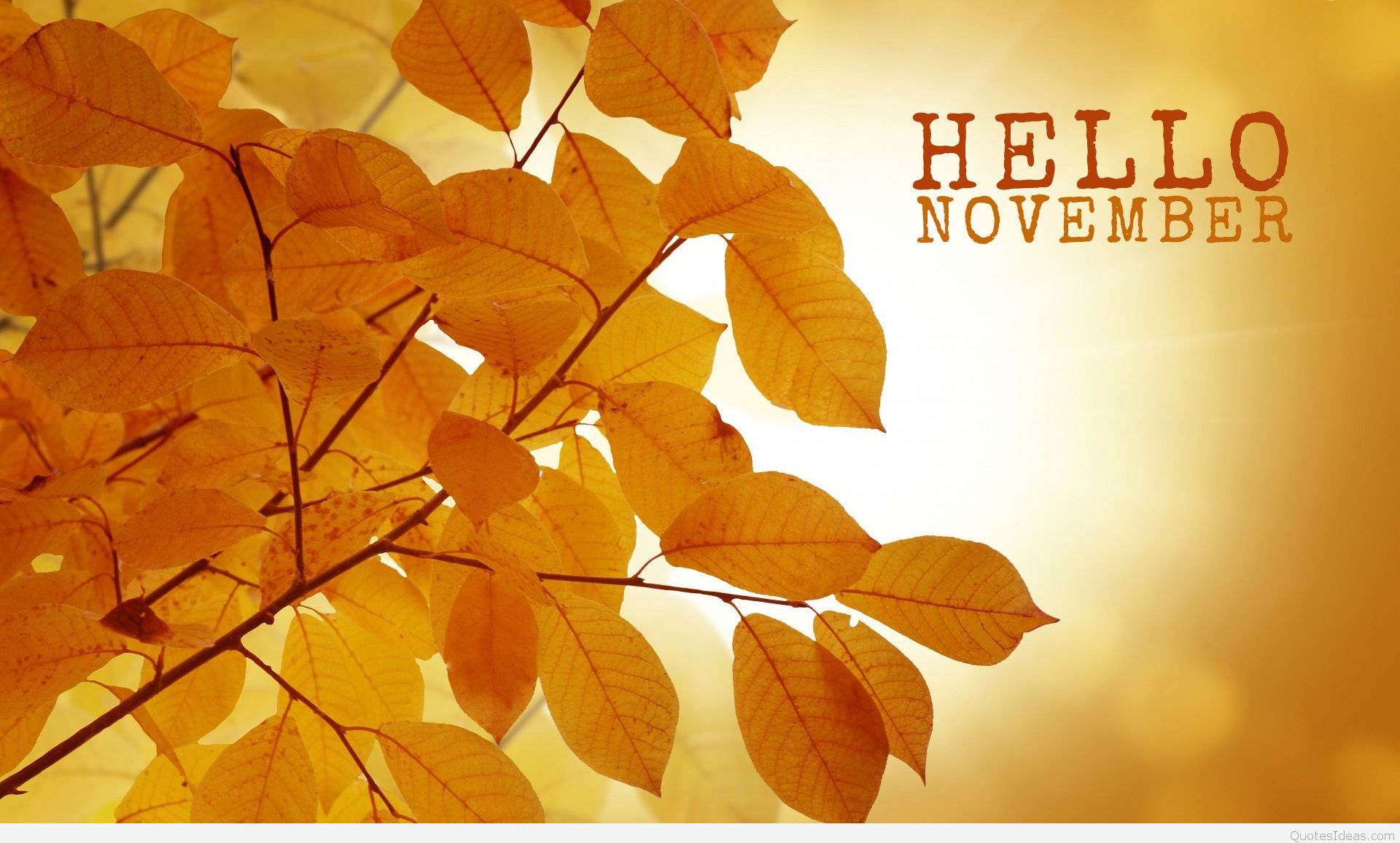 Goodbye October Hello November Wallpaper For Desktop - November Wallpaper Hd , HD Wallpaper & Backgrounds