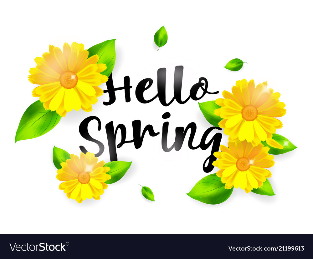 Hello Spring Background With Flower Vector Image - Hello Spring Wallpaper Background , HD Wallpaper & Backgrounds
