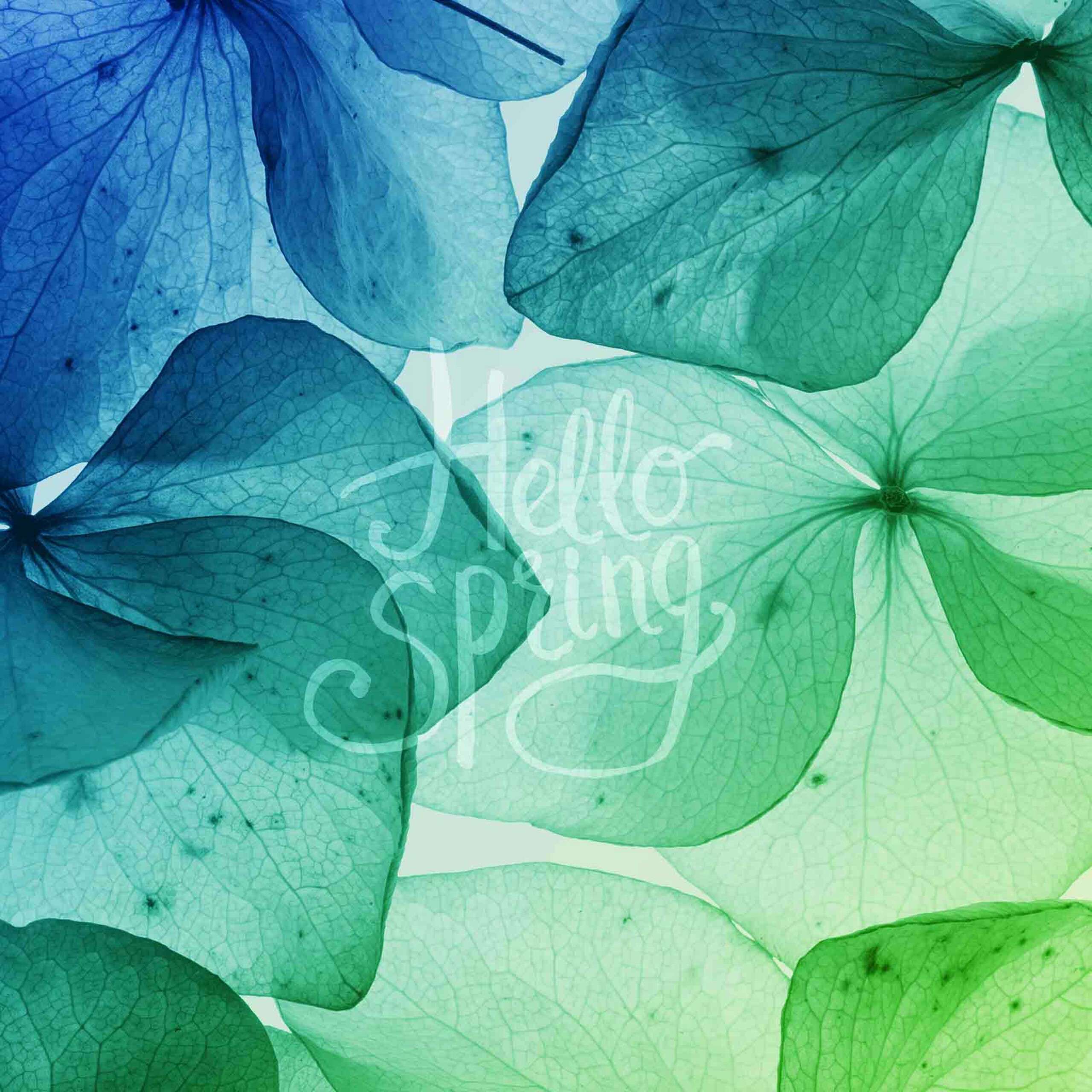 Hello Spring Green Leaves Abstract Qhd Wallpaper - Hello Spring Wallpaper Mobile , HD Wallpaper & Backgrounds