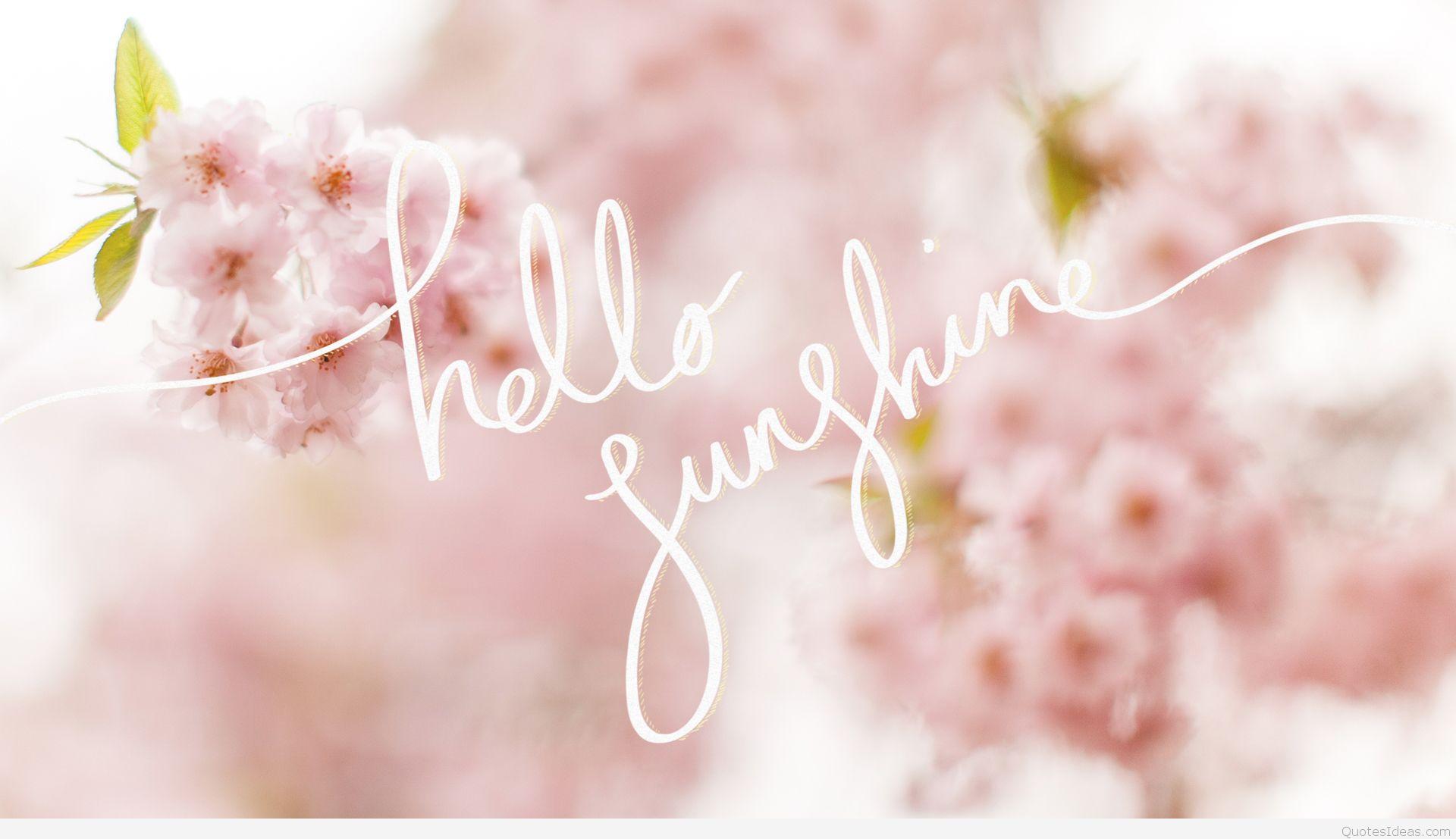 Hello Spring Wallpaper Hd - Hello Sunshine Desktop Background , HD Wallpaper & Backgrounds