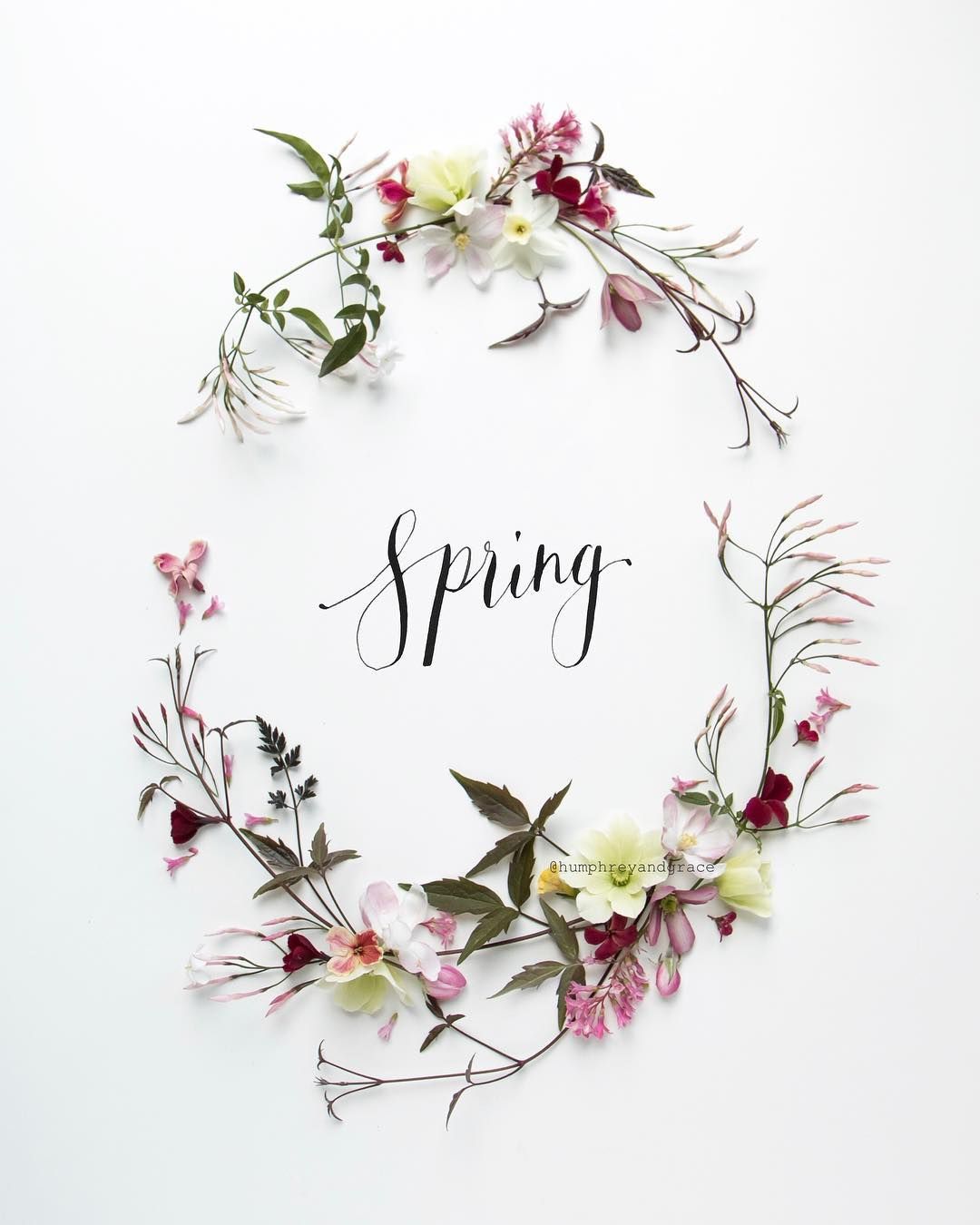 Spring Aesthetic - Hello Spring , HD Wallpaper & Backgrounds