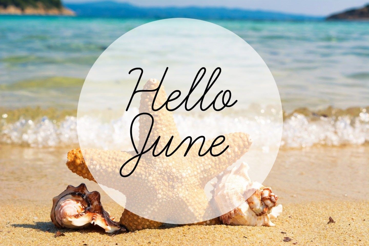 Hello Summer And Hello June Wallpapers Sayings Unique - Starfish On Beach , HD Wallpaper & Backgrounds
