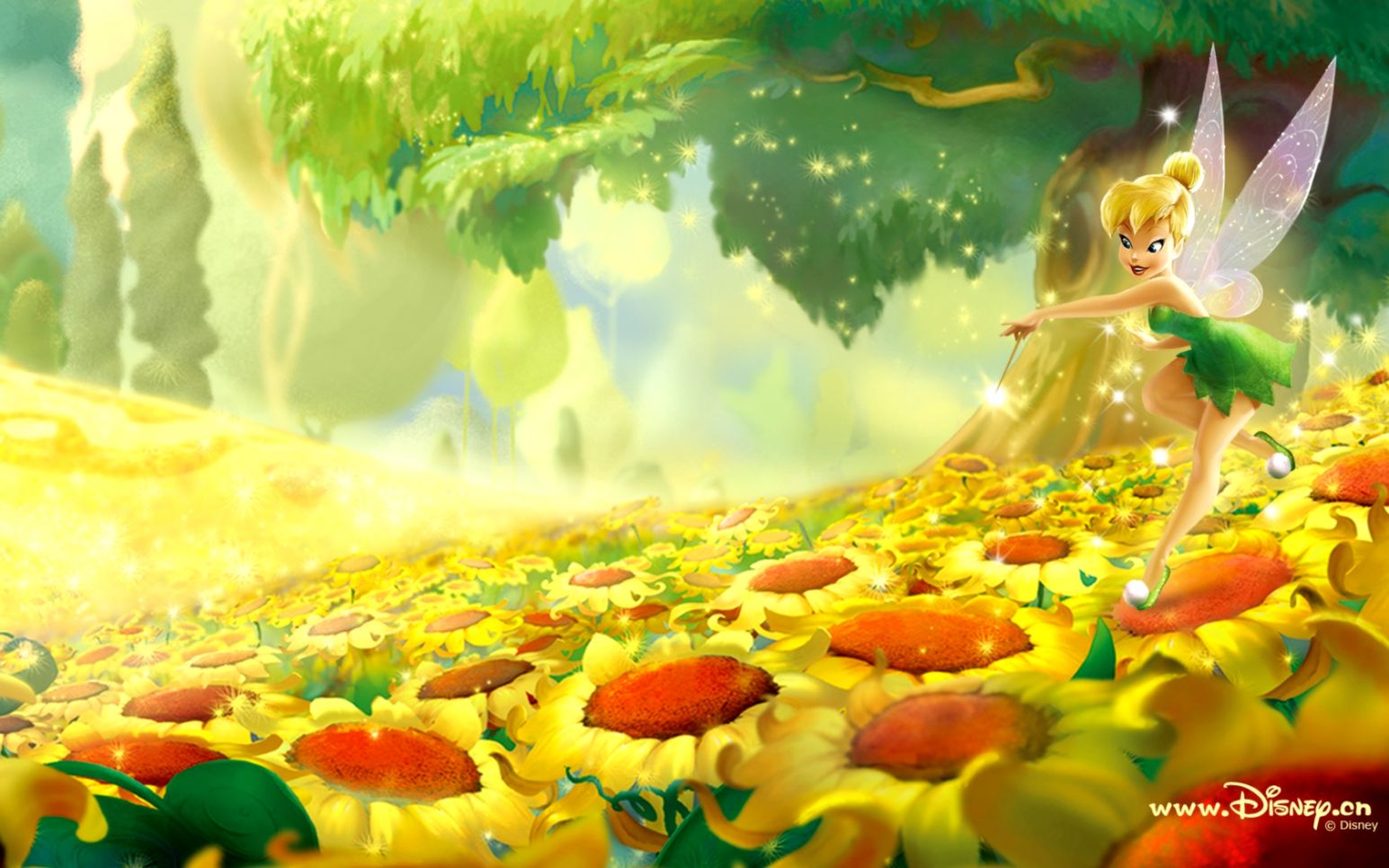 309 Fairies Wallpaper Wallpaper Tags Wallpaper Better - Tinkerbell Fairies Background , HD Wallpaper & Backgrounds