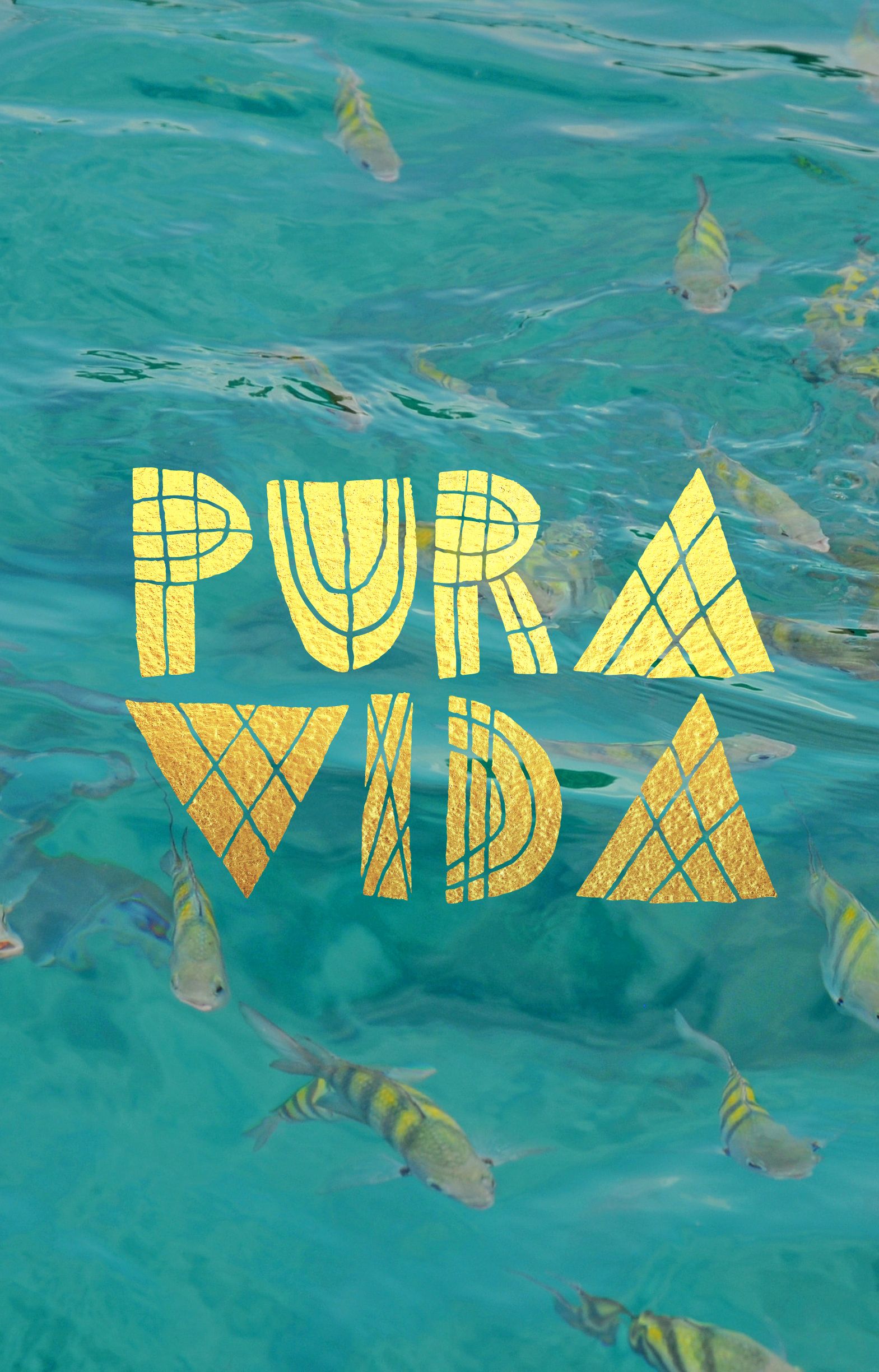 Pura Vida // @seattlestravels Http - Pura Vida , HD Wallpaper & Backgrounds