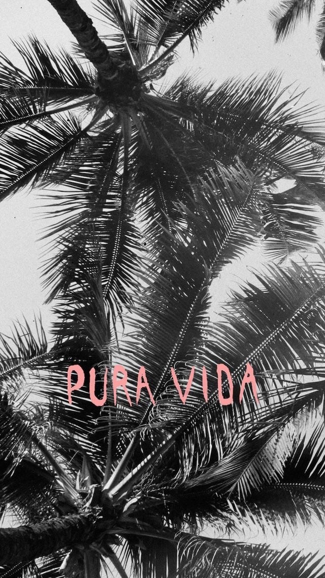 Pura Vida Wallpaper Iphone , HD Wallpaper & Backgrounds