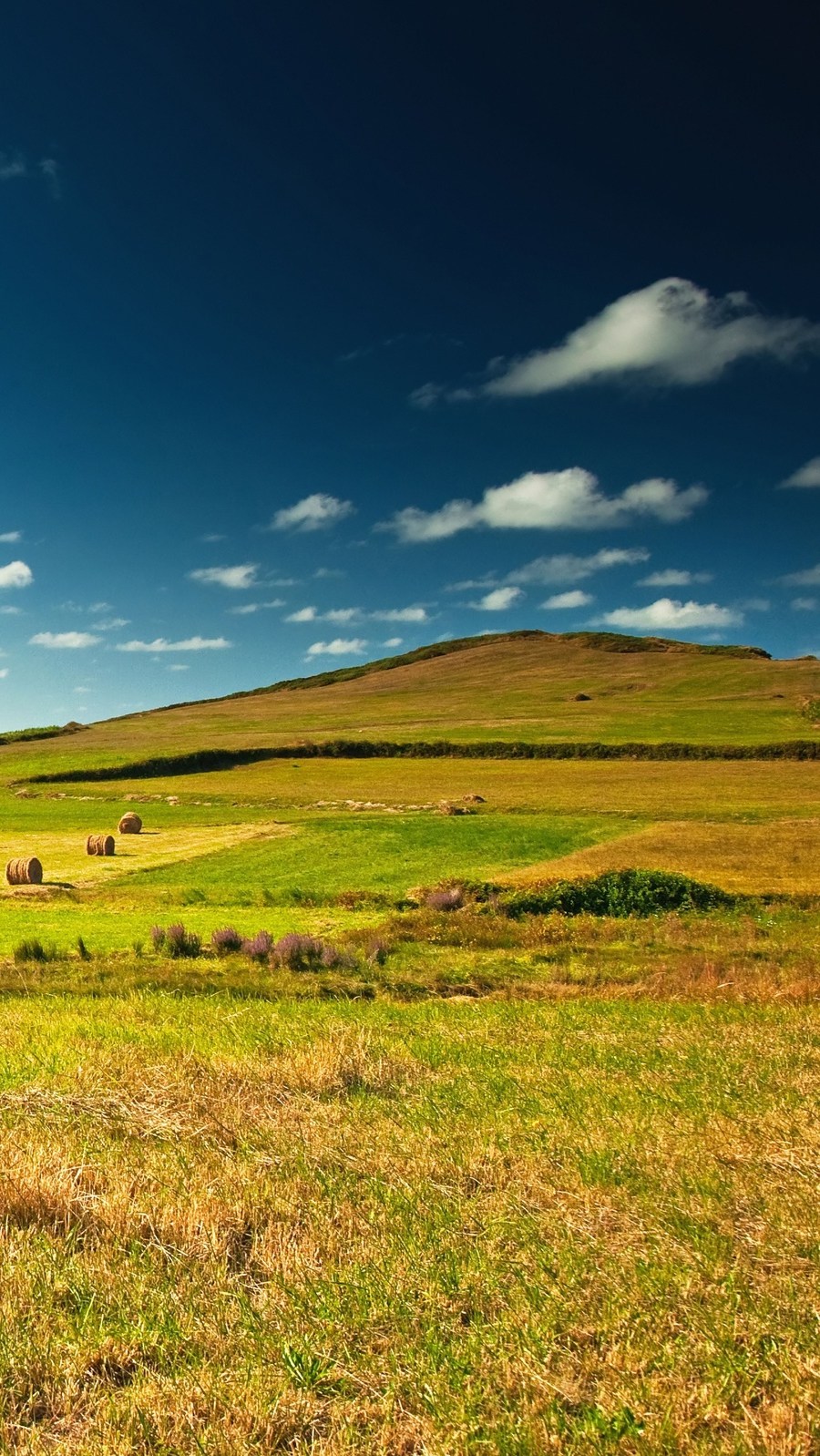 Village Green Landscape Meadow Great View Iphone Wallpaper - Fields Wallpaper Hd , HD Wallpaper & Backgrounds