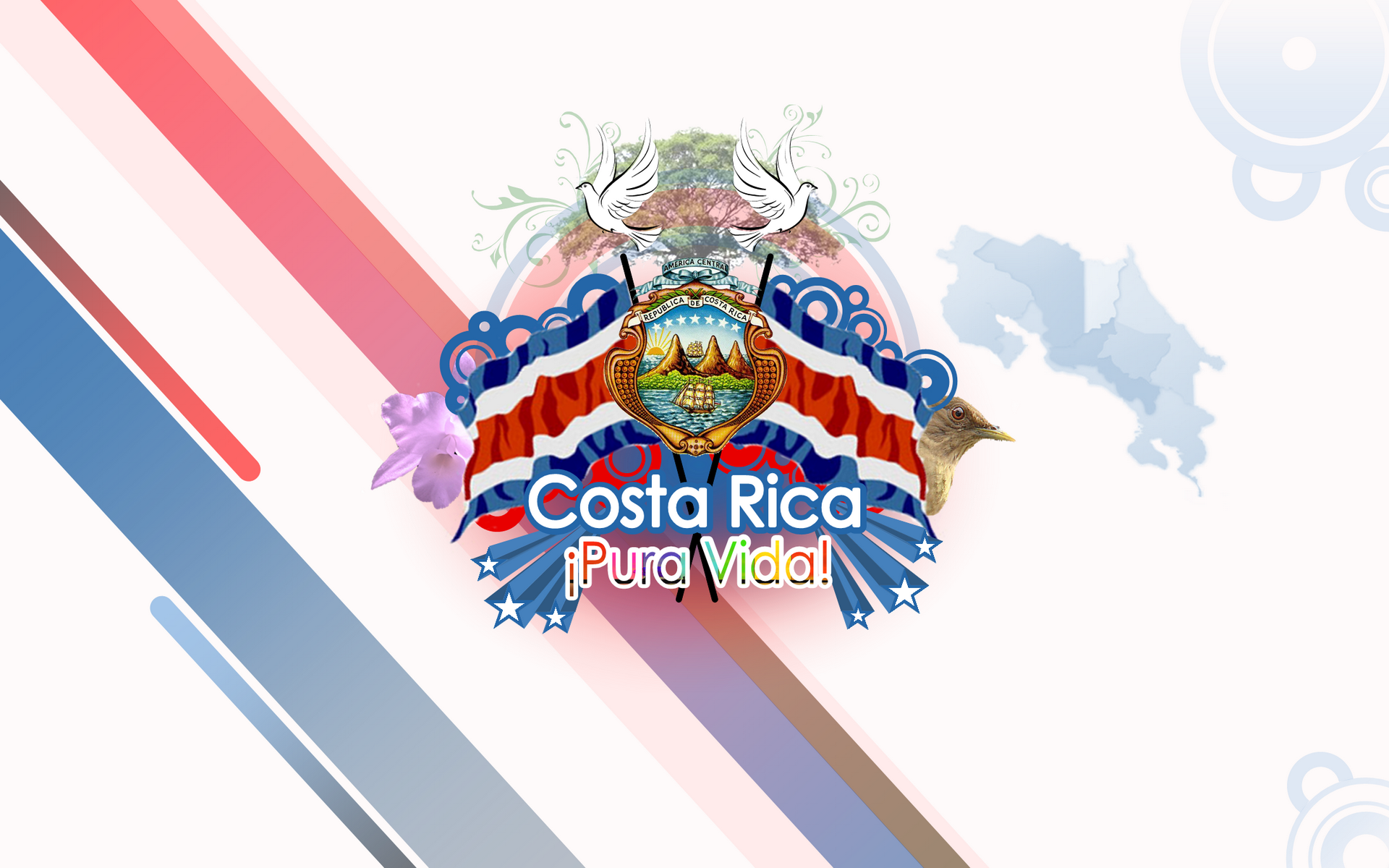 Pura Vida Wallpaper - Logo Costa Rica Pura Vida , HD Wallpaper & Backgrounds