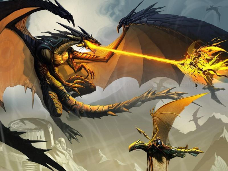 Guerra De Dragones - Black Dragon , HD Wallpaper & Backgrounds